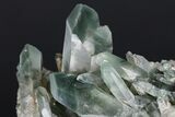 Chlorite Included Quartz Crystal Cluster - Baluchistan, Pakistan #175089-4